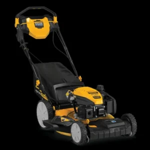 1 384.webp